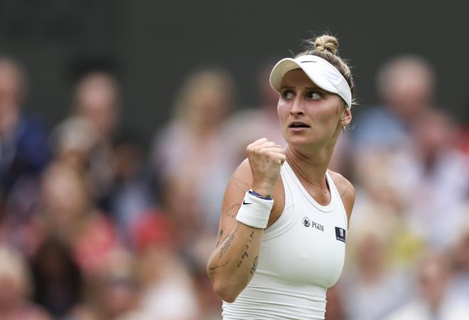 观赛要点 观赛要点